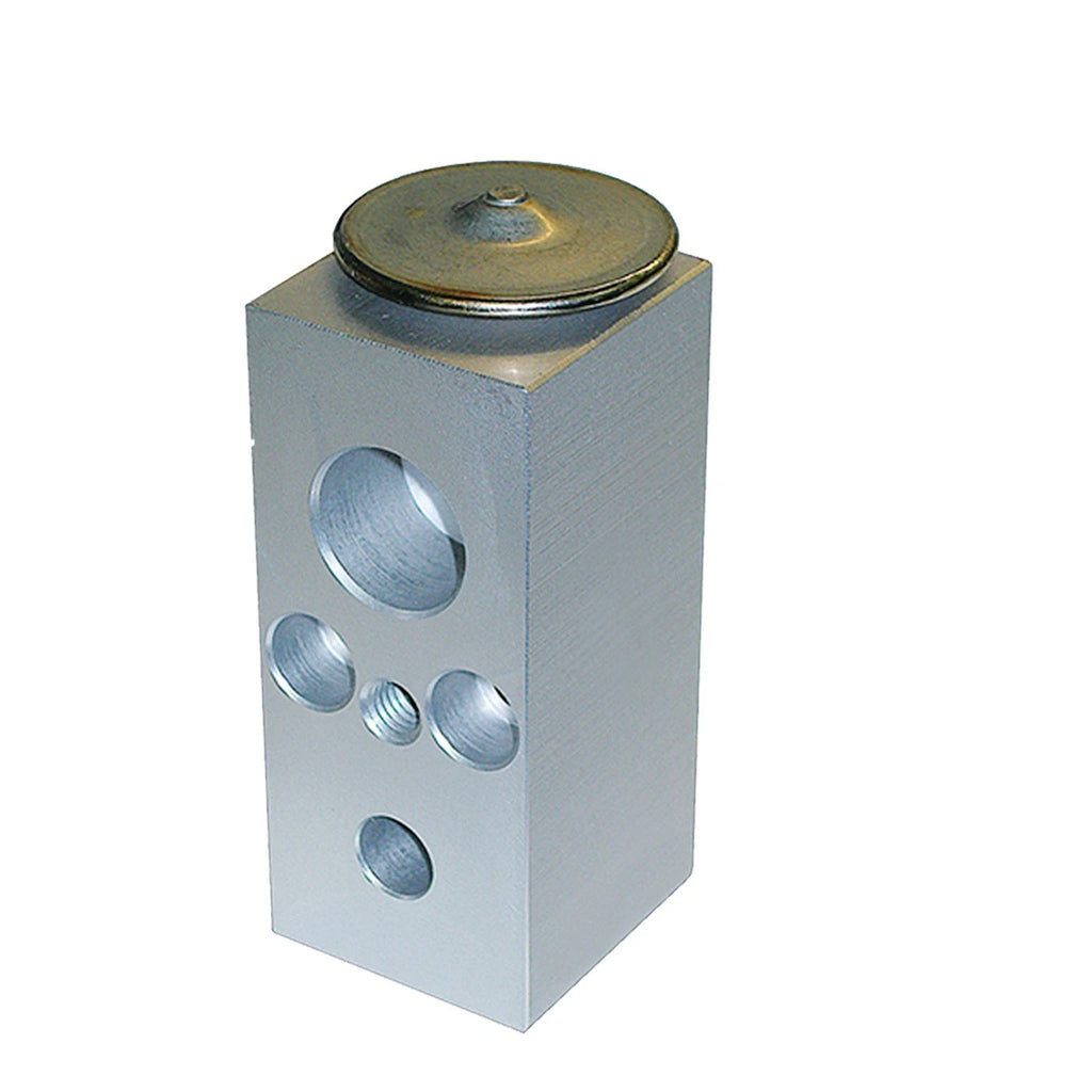 A/C Expansion Valve for Ram Van Truck Dodge Dakota (B150, B250)