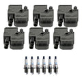 Set of 6 Ignition Coils & Spark Plugs for Acura RL TL Hyundai Sonata (V6)
