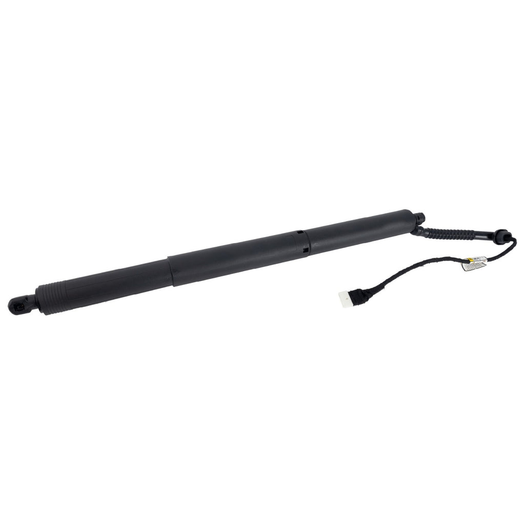 Lift Support for BMW X5 (2017–2018) Driver and Passenger Side