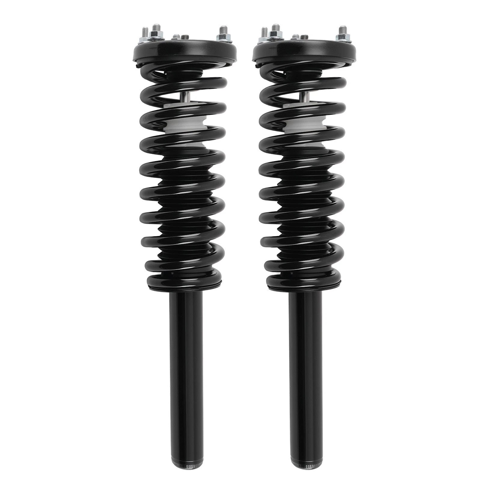 Complete Strut Set for Honda Accord (2003-2007)
