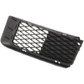 Bumper Grille for BMW 328i 335i (2007-2010)