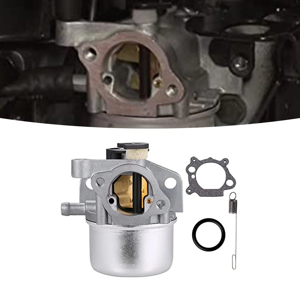 Carburetor Kit for BS Lawn Mower (799866)