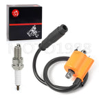 Ignition Coil Pack and Spark Plug for Kawasaki Teryx 750 (2009-2013)