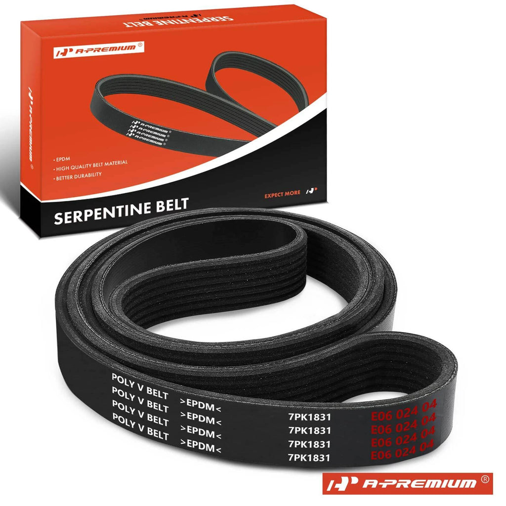 Serpentine Belt for Honda Accord (2008–2012)