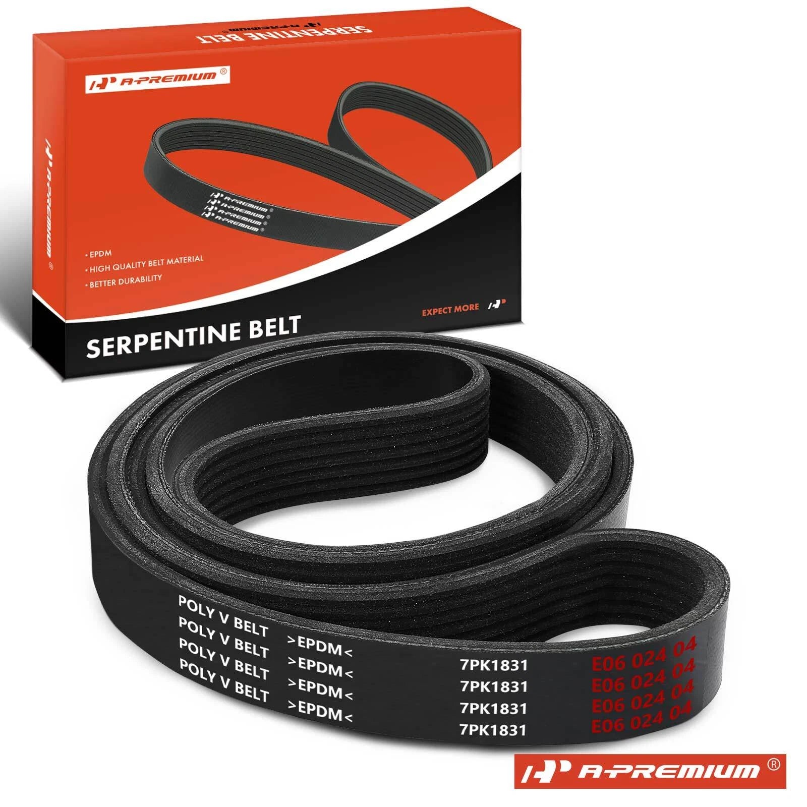 Serpentine Belt for Honda Accord (2008–2012)