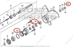 Lower Unit Oil Seal & O-ring Set for Honda Outboard Engine (91252-ZW4-003, 91351-ZZ5-003)