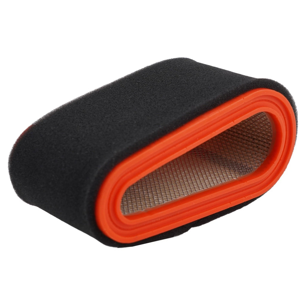 Air Filter for Castelgarden Mountfield GGP Lawn Equipment