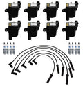 Set of 8 Ignition Wires & 8 Spark Plugs for Buick Chevy GMC Isuzu V8
