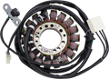 Stator for Triumph (21-029)