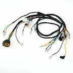 Electrical Wiring Harness for Yamaha YFS200 (2003–2006)