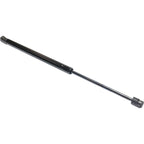 Set of 2 Liftgate Lift Supports for Chevrolet Malibu Maxx (2004–2007)