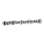 Stage 3 Cam Springs Kit for Chevy LS LS1 (LS1, 552" Lift, 296° Duration)