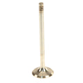 TRW Exhaust Valve for (111209)