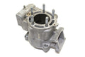 OEM Engine Cylinder for Kawasaki KX112 (2025) 11005-0729
