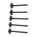 Intake Exhaust Valve for Yamaha Rhino Grizzly Raptor 660 660R (2001–2008)