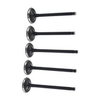 Intake Exhaust Valve for Yamaha Rhino Grizzly Raptor 660 660R (2001–2008)