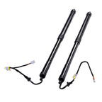 Tailgate Support Bar Set for Lexus RX350 RX450h (2016–2019)