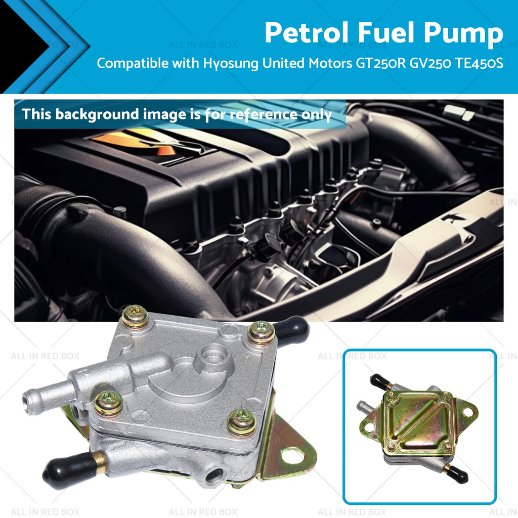 Fuel Pump for Hyosung GV650 GT650R GT250R GV250 (15100HG5100)