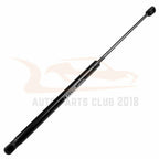 Set of 2 Rear Liftgate Struts for Nissan Rogue (2008-2013)