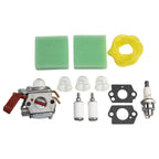 Carburetor for Homelite B25C BC2500R D725CD/D825SB F2020 F3040 F3050 (#984534001)