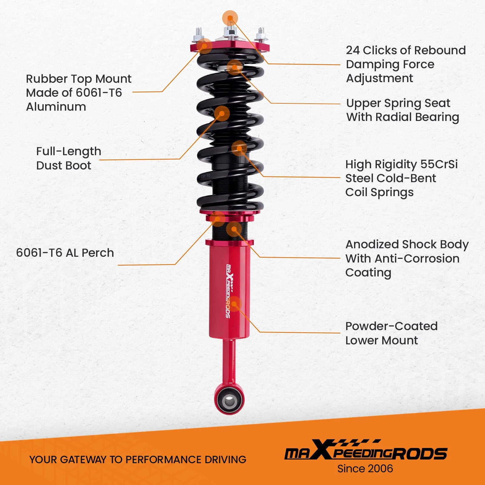 Adjustable Coilover Lowering Kit for Lexus IS300 (2001-2005)