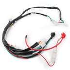 Electric Wiring Harness for Chinese ATV UTV GoKart Taotao 50CC-125CC