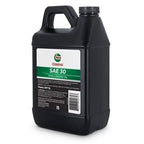 Castrol 215307 SAE 30 Synthetic Oil for 4-Cycle Gas Engines (48oz)