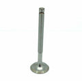 Inlet/Exhaust Valve for David Brown 780 880 990 995 996 (1970–1990)
