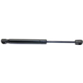Trunk Lid Lift Supports for Driver or Passenger Side