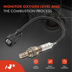 2X O2 Oxygen Sensors for Honda CR-V Civic Accord