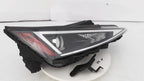 Projector Halogen Headlight LH for Hyundai Elantra Sedan (2019–2020)