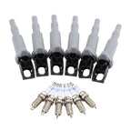 Set of 6 Ignition Coils & 6 Double Platinum Spark Plugs for BMW E90 E83 (2007–2013)