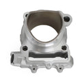 Cylinder Jug Barrel 77mm for Kawasaki KX250F (2009–2019)