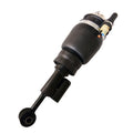 Front Left Air Suspension Strut Assembly for Lincoln Ford (2006–2010)