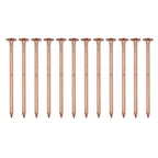 4 Inch Copper Nails for Tree Stumps and Root Removal (Garden Hardware)