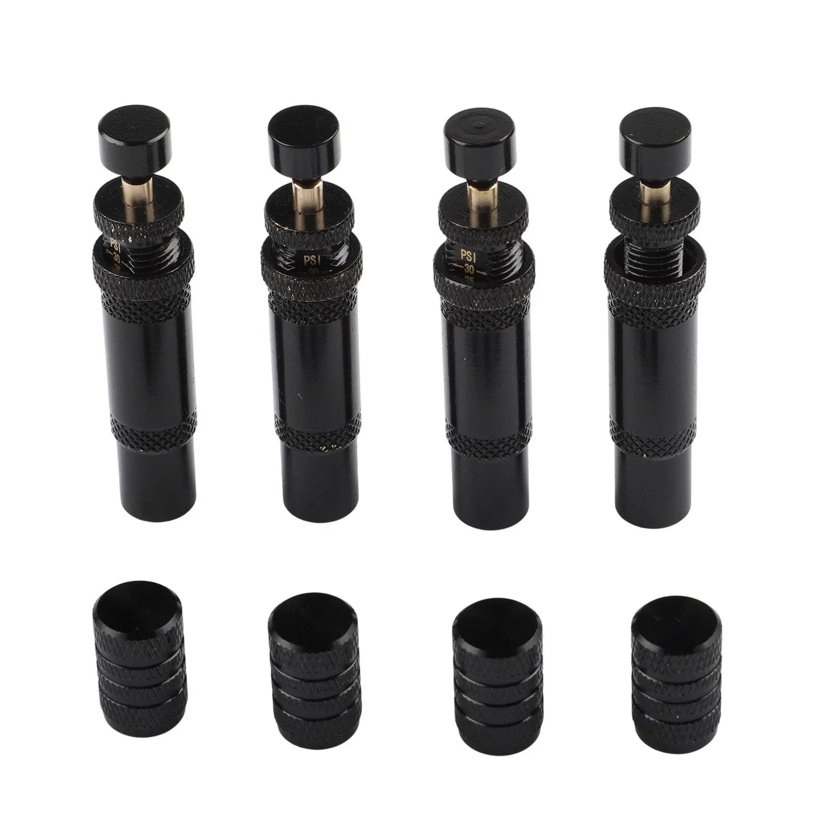 Tire Deflator Premium Brass for Off Road Adventures