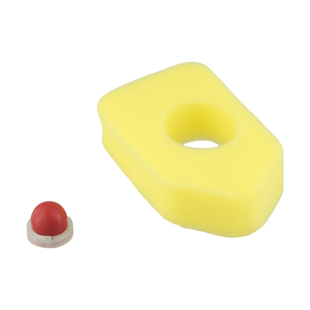 Air Filter and Diaphragm Kit for