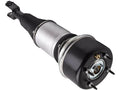 Strut Assembly for Jaguar XJ8 (2003–2009) YB457NK