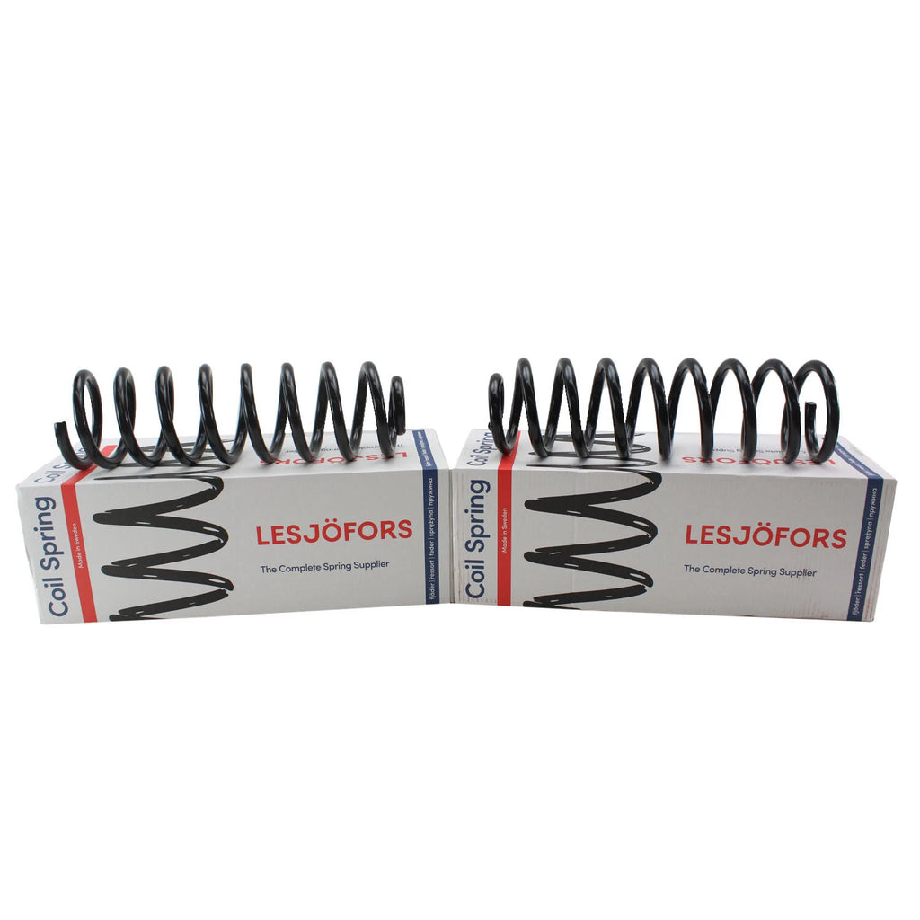 Heavy Duty Rear Coil Spring Kit for Chevrolet (4414206)
