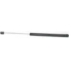 Lift Support for Ford Escape, Tribute (2008–2012)