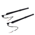 2X Rear Tailgate Gas Struts for Lexus NX300 NX300h (2018–2021)