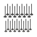 Intake & Exhaust Valves for Honda Odyssey/Pilot 3.5L (2007–2009)
