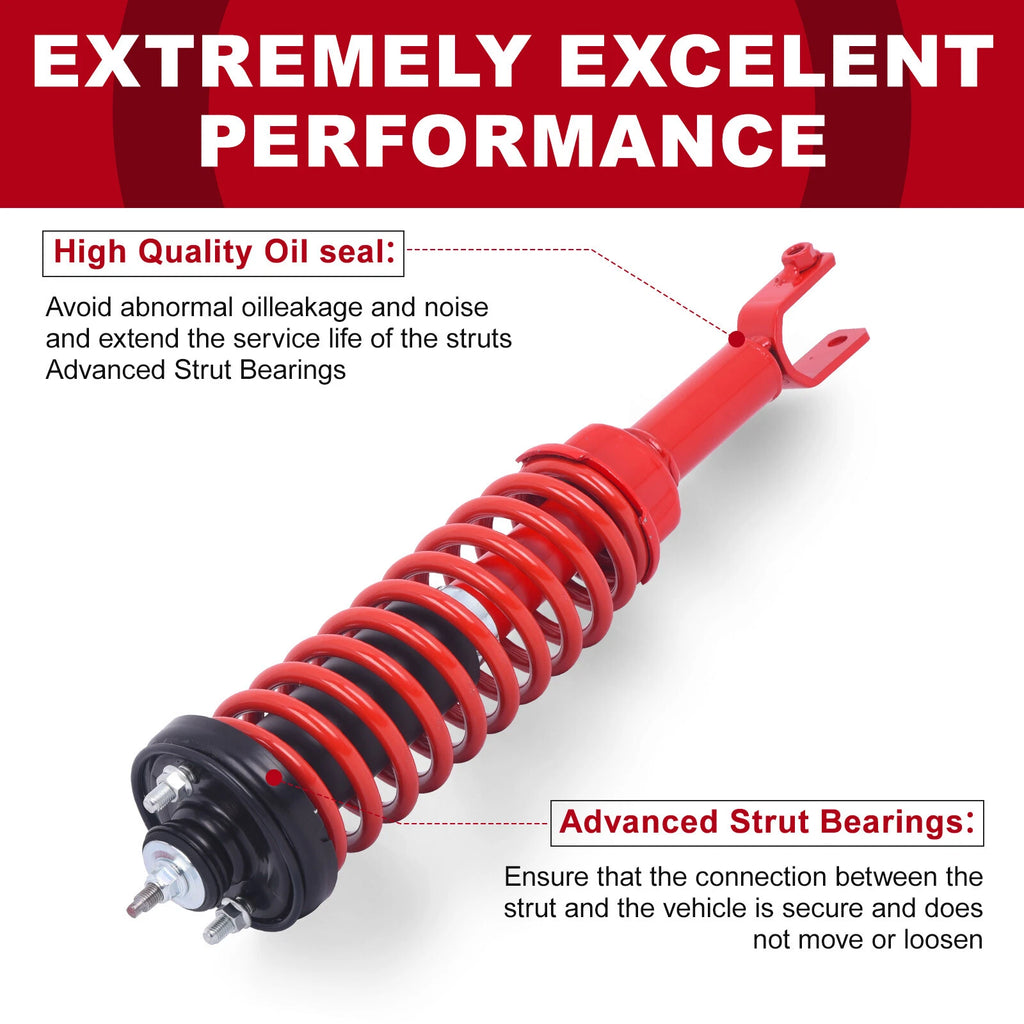 2X Rear Struts with Coil Spring for Honda Civic (1996-2000)