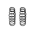 Set of 2 Rear Coil Springs for RX-8 (2004–2011)