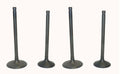 WSM Engine Valve Kit for Yamaha 700 (2007–2024) 017-314