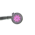 Neutral Safety Switch for Volkswagen Phaeton (2004–2006)