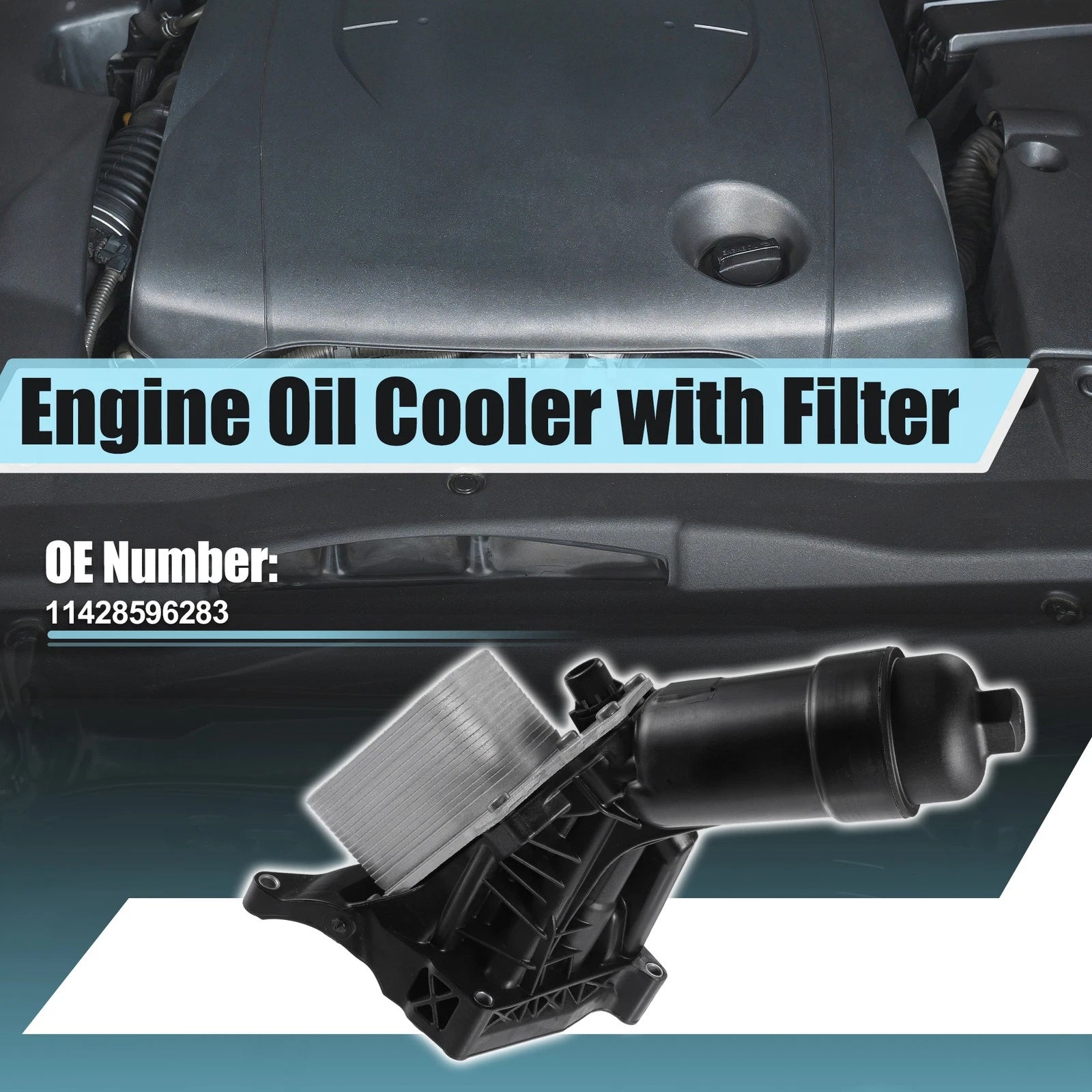 Set of 1 Engine Oil Cooler Oil Filter for BMW 230i F22 (2017–2022) No. 11428596283
