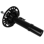 Pair Front Shock Struts for Honda Civic (2016–2021)