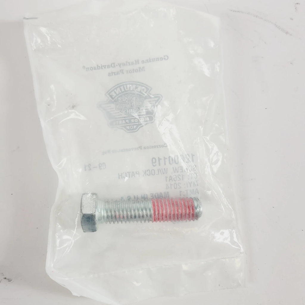 Hex Head Screw with Lockpatch for Harley Davidson (12600119)