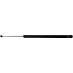 Hood Lift Supports for Coupe Sedan (Driver & Passenger Side)